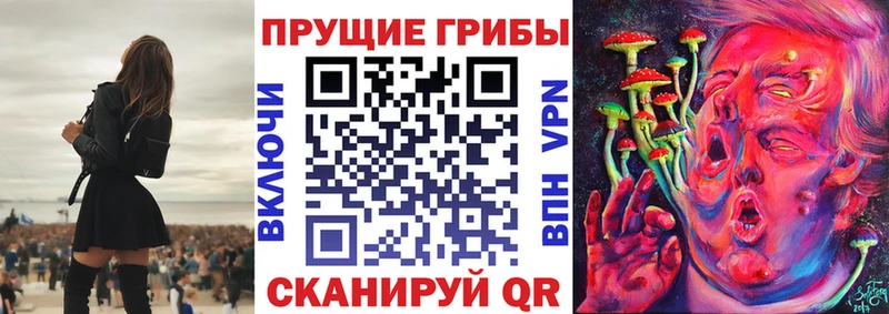 Псилоцибиновые грибы Cubensis  ОМГ ОМГ ТОР  маркетплейс телеграм  Богданович 