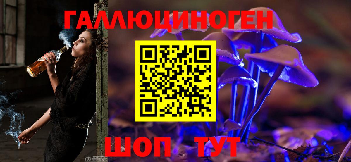 Богданович  как найти наркотики  Галлюциногенные грибы Magic Shrooms  Вход с VPN  Псилоцибиновые грибы Psilocybe 