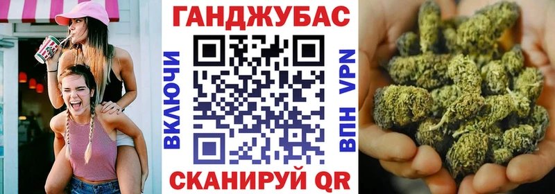Шишки марихуана планчик  Богданович 